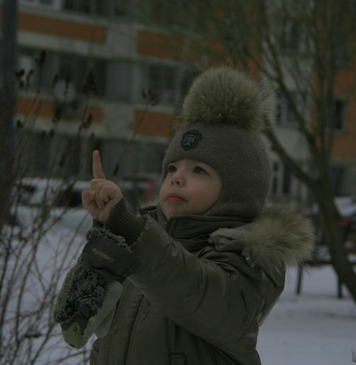 Image-normal