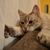Image-square_50