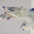 Image-square_50