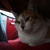 Image-square_50
