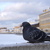 Image-square_50