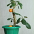 Image-square_50