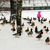 Image-square_50
