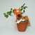 Image-square_50