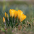 Image-square_50