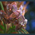 Image-square_50