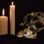 Image-square_50