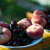 Image-square_50