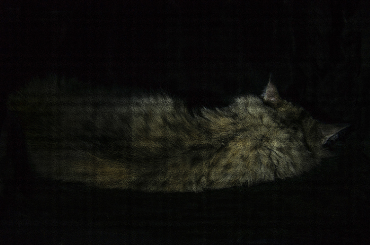 Image-normal