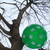 Image-square_50