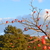 Image-square_50