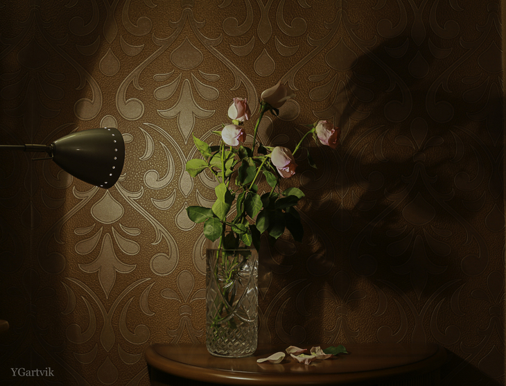 Image-normal