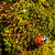 Image-square_50