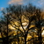 Image-square_50