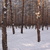 Image-square_50
