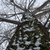 Image-square_50
