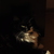 Image-square_50