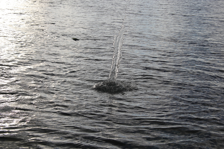 Image-normal