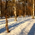 Image-square_50