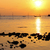 Image-square_50
