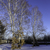 Image-square_50