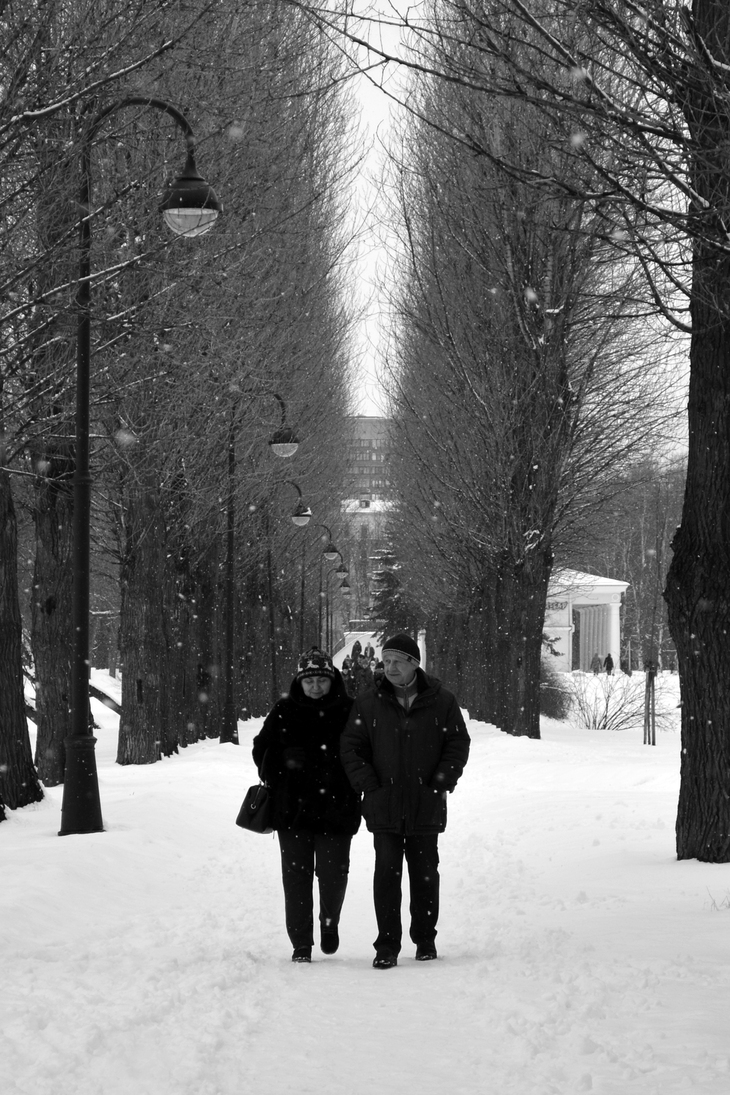 Image-normal