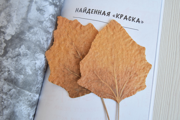 Image-normal