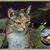 Image-square_50