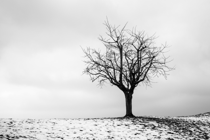 Image-normal