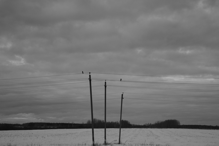 Image-normal