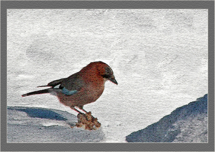 Image-normal