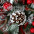 Image-square_50