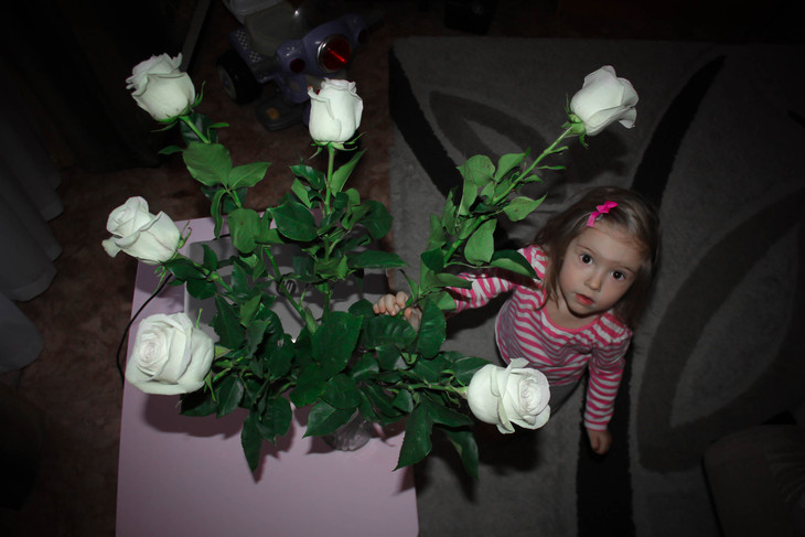 Image-normal