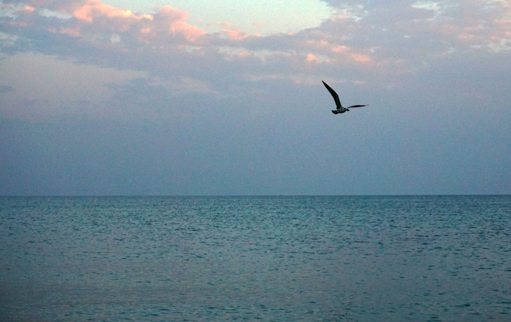 Image-normal