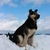 Image-square_50