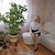 Image-square_50