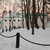 Image-square_50