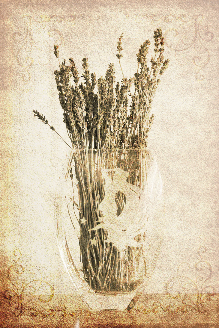 Image-normal