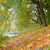 Image-square_50