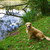 Image-square_50