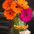 Image-square_50