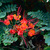 Image-square_50