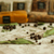 Image-square_50