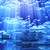 Image-square_50