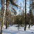 Image-square_50