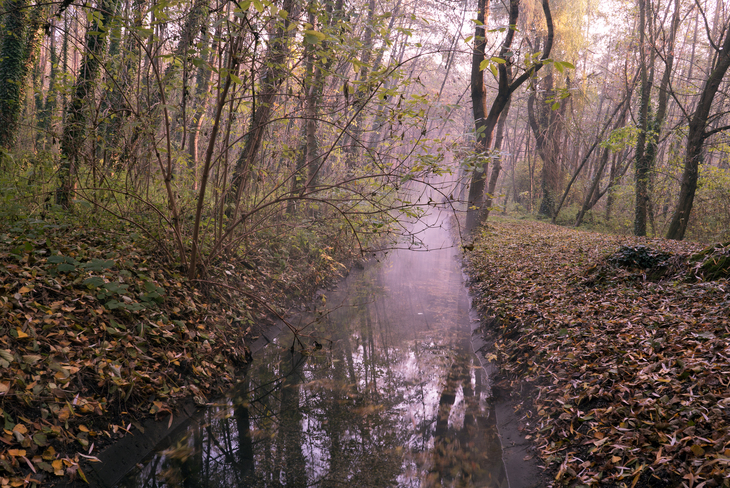 Image-normal