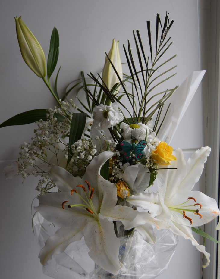 Image-normal
