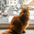 Image-square_50