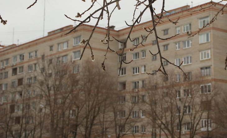 Image-normal