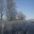 Image-square_50